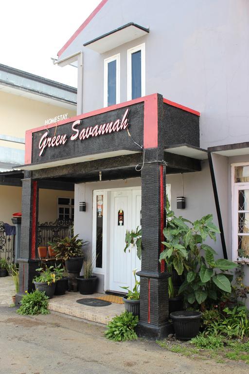 Green Savannah Homestay Syariah Diyeng Εξωτερικό φωτογραφία