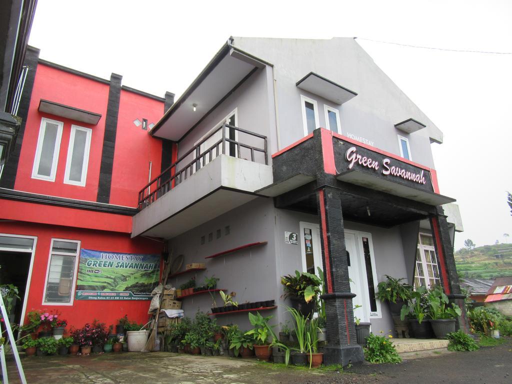 Green Savannah Homestay Syariah Diyeng Εξωτερικό φωτογραφία