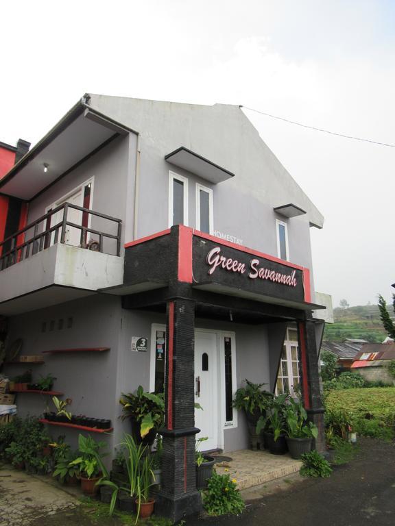 Green Savannah Homestay Syariah Diyeng Εξωτερικό φωτογραφία