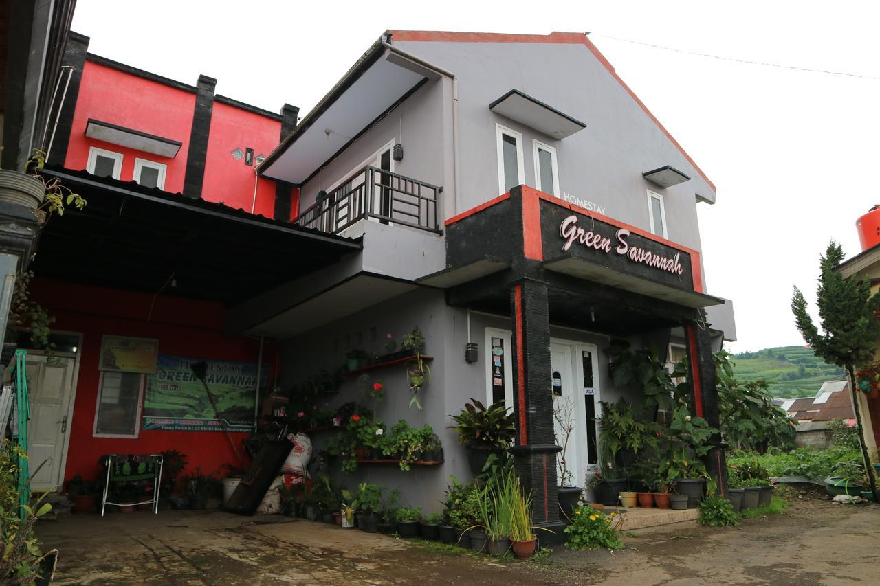 Green Savannah Homestay Syariah Diyeng Εξωτερικό φωτογραφία